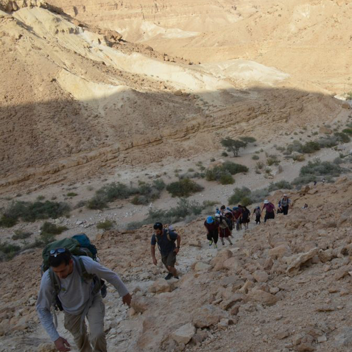 כו_ניסן_תשעו_347-1024x678 copy